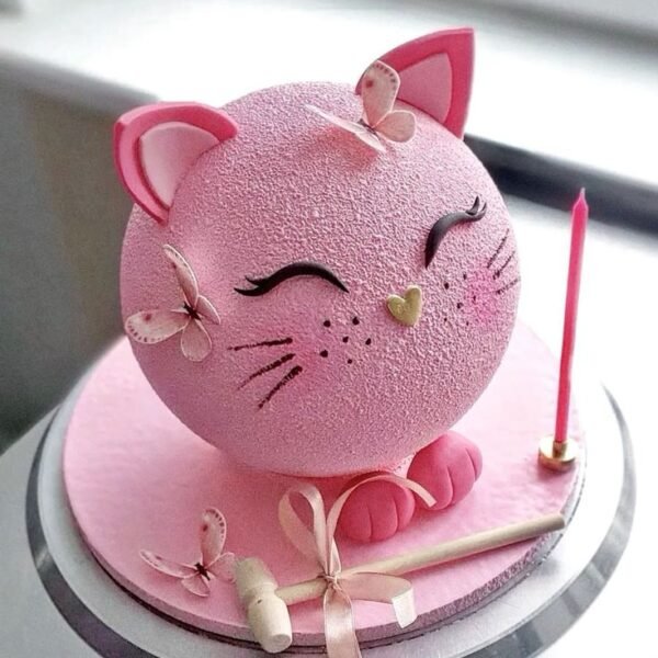 best cake in delhi ncr, same day delivery, luxury cake, order online, chocolate mocha pinata cake