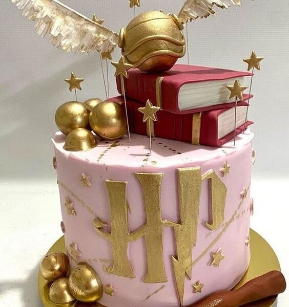Harry Potter Cake luxury cake best cake shop in Delhi same day delivery order online