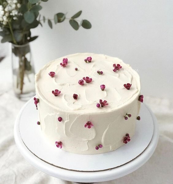 best cake shop in Delhi, luxury cake, same-day delivery, online order, butterfly theme cake